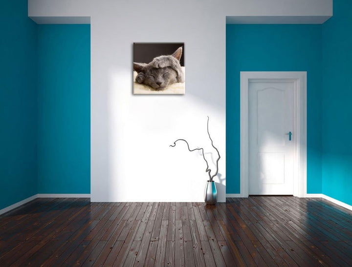 Pixxprint Süsses Kätzchen, Format: 70x70 auf Leinwand, XXL riesige Bilder fertig gerahmt mit Keilrah