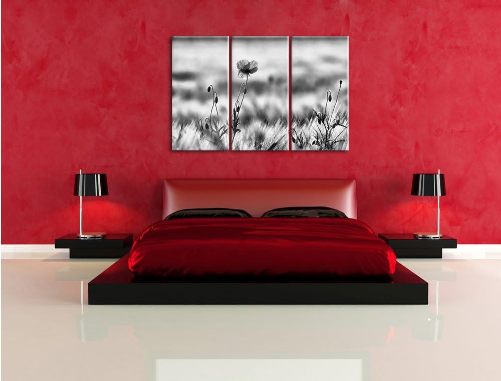 Pixxprint Blumen im Feld Tulpen als Leinwandbild/Grösse: 3 Teilig (120x80) cm/Wandbild/Kunstdruck/fe