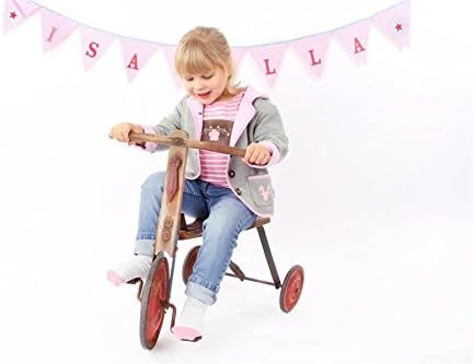 Eisenherz Baby Mädchen Kapuzenjacke Sweatjacke mit Geweih, in grau und rosa - fescher Trachtenlook i