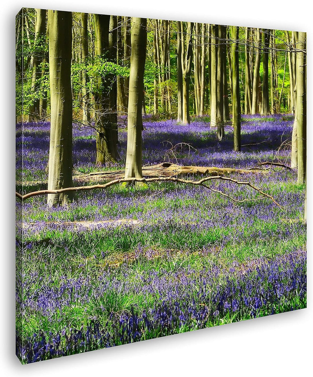 deyoli Lavendel Blumen im Wald Format: 70x70 als Leinwand, Motiv fertig gerahmt auf Echtholzrahmen,