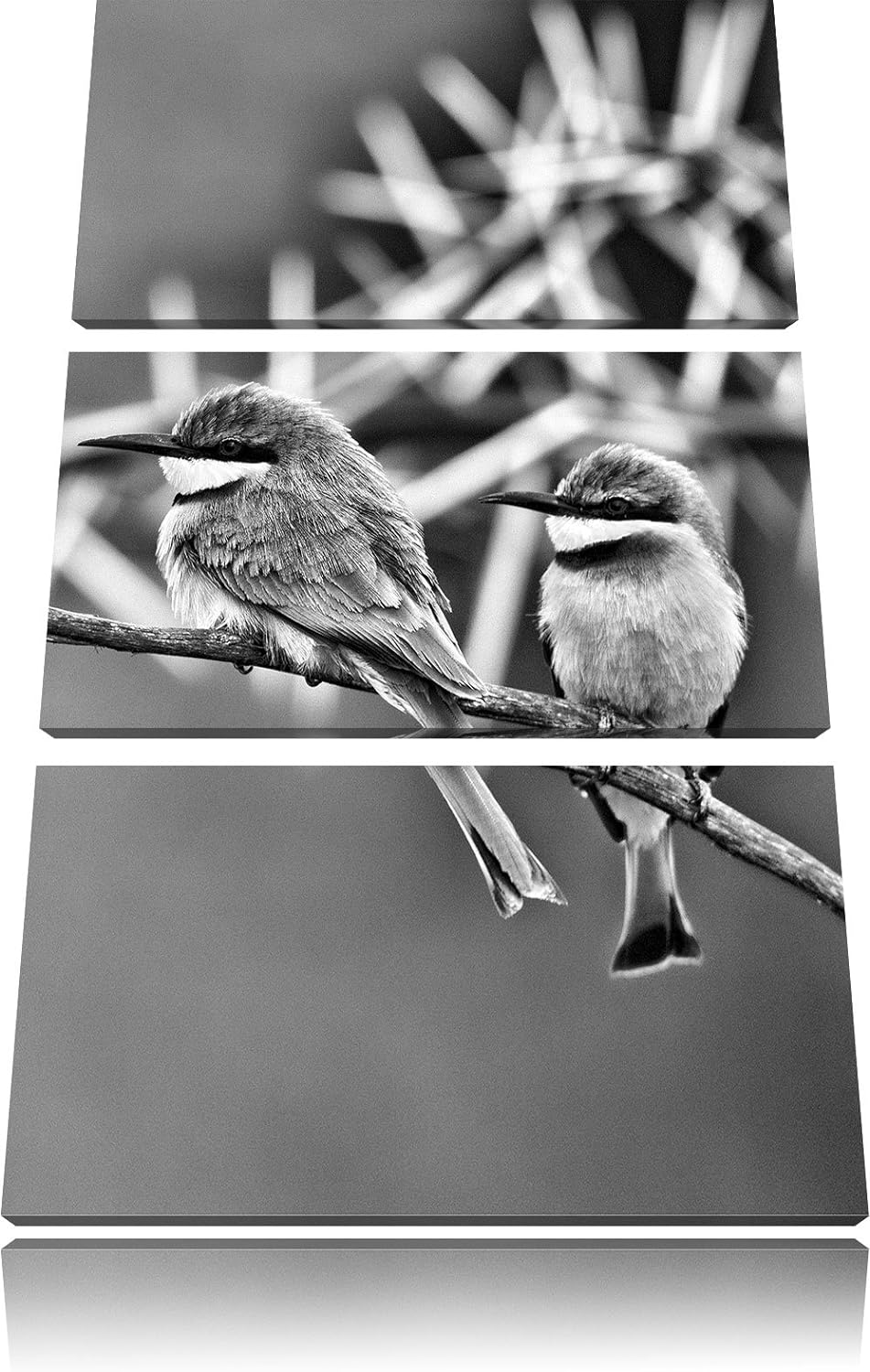 Pixxprint exotische Vögel auf AST als Leinwandbild/Grösse: 3 Teilig (120x80) cm/Wandbild/Kunstdruck/