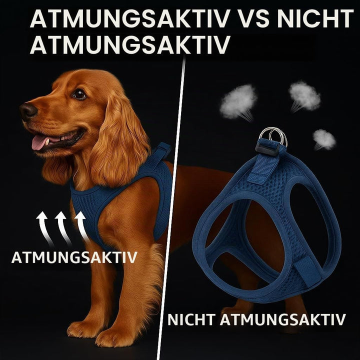 Hundegeschirr - hundegeschirr kleine Hunde - 30–35cm A. Brust / 37–40cm B. Bauch - Flamingo Harness