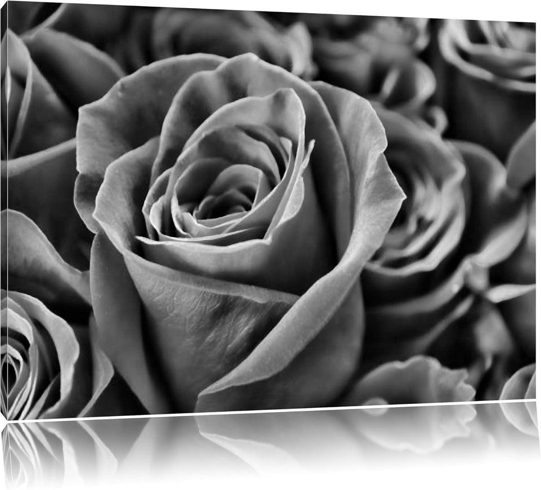 Pixxprint Romantische Rosen / 100x70cm Leinwandbild bespannt auf Holzrahmen/Wandbild Kunstdruck Deko