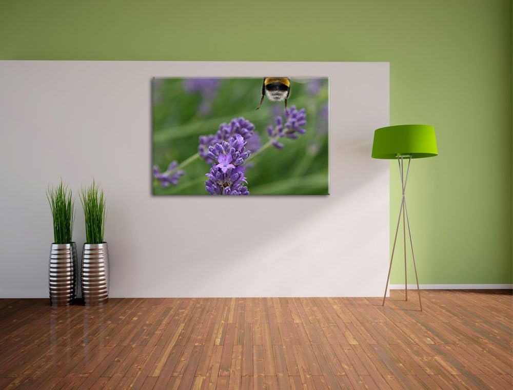 Biene auf Kriechender Günsel Leinwand, XXL riesige Bilder fertig gerahmt mit Keilrahmen, Kunstdruck