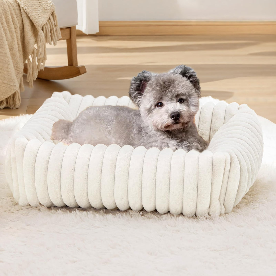 XIAPIA Katzenbett Flauschig Washbar 63x53x18 cm, Plüsch Katzen Schlafplatz Weich und Warm für Katzen