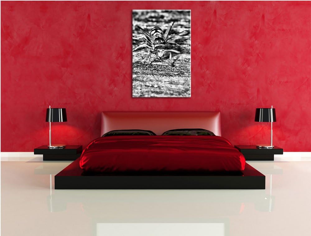 Monocrome, Wespe auf Holz, Format: 100x70 auf Leinwand, XXL riesige Bilder fertig gerahmt mit Keilra
