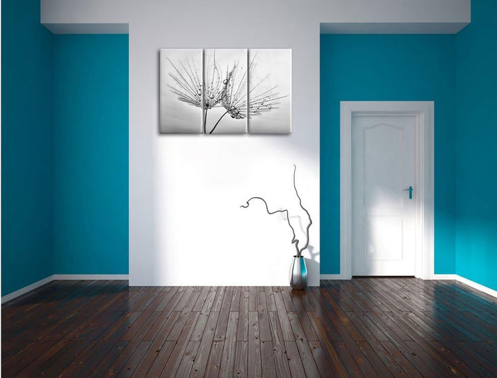 Pixxprint Pusteblumen mit Tautropfen als Leinwandbild/Grösse: 3 Teilig (120x80) cm/Wandbild/Kunstdru