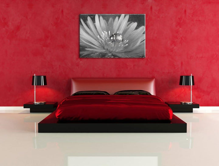 Pixxprint Marienkäfer auf Blume als Leinwandbild/Grösse: 100x70 cm/Wandbild/Kunstdruck/fertig bespan