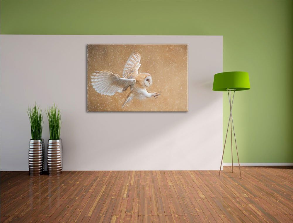 Pixxprint Fliegende Weisse Eule bei der Jagd Kunst Buntstift Effekt, Format: 100x70 auf Leinwand