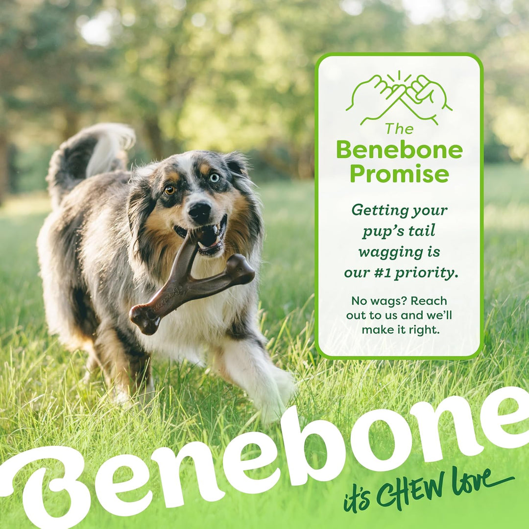 Benebone - Wishbone Bacon 21 cm - (854111004088) Speck Gross, Speck Gross