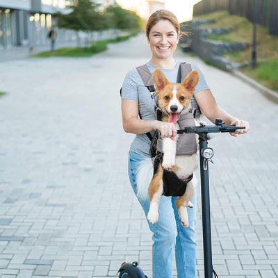 PETCUTE Haustier Rucksack Hundetragetasche,Verstellbare Brust Hunderucksack für Klein Hunde Katzen,T