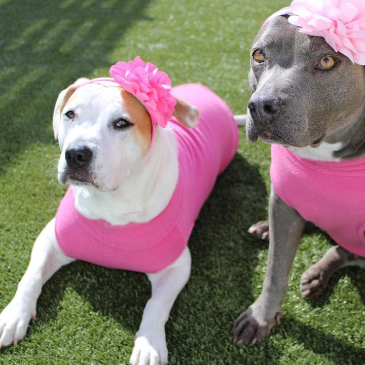 Gooby - Stretch Fleece Vest, Pullover Fleece Vest Jacket Sweater for Dogs, Pink, 5X-Large rose 5X-La