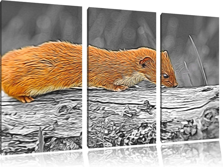 wildes kleines Frettchen schwarz/weiss Deluxe 3-Teiler Leinwandbild 120x80 Bild auf Leinwand, XXL ri