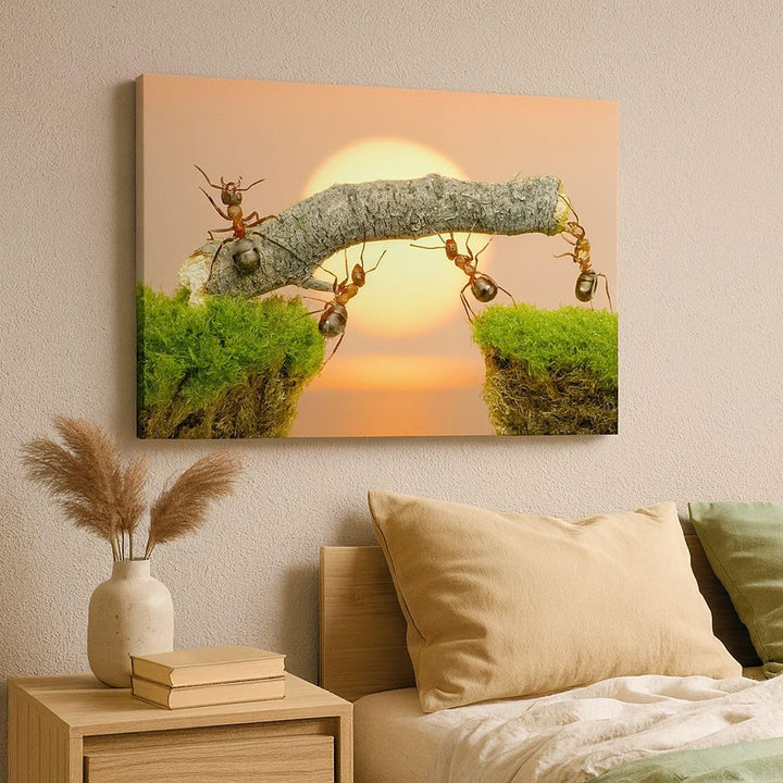Bilder auf Leinwand Tiere Ameisen Brücke Natur Leinwandbild 70x50cm Wandbilder Dekoration Wohnzimmer