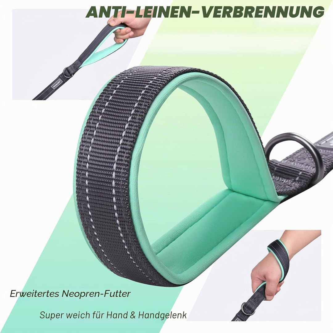 VIVAGLORY Twingrip Führleine Hund, Leine Hund Hausleine Joggingleine, Hundeleine mit 2 Griffen Doppe