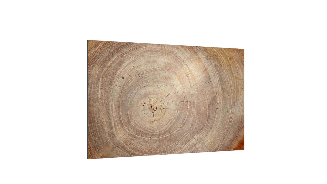 ALLboards Glas Magnettafel Baumstamm Natur Baumkern 60x40cm Glasbild Memoboard aus Glas Glastafel mi