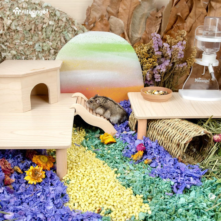 Niteangel Hamster-Spielplattform aus Holz für syrische Zwerghamster, Rennmäuse, Mäuse, Degus oder an
