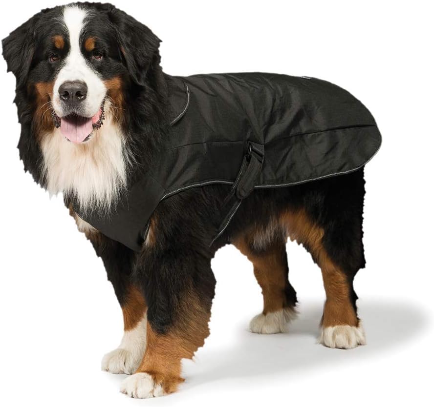 Danish Designs Hundegeschirr, 2-in-1, Schwarz 35 cm, 35 cm