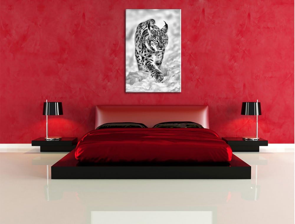 Pixxprint Luchs im Schnee als Leinwandbild/Grösse: 100x70 cm/Wandbild/Kunstdruck/fertig bespannt, 10