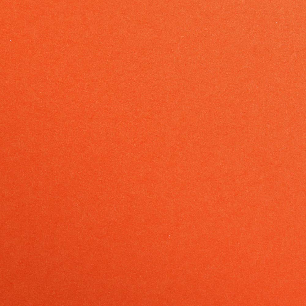 Clairefontaine 397255C Packung (mit 125 Bögen Zeichenpapier Maya, 50 x 70 cm,270g, glatt, ideal für