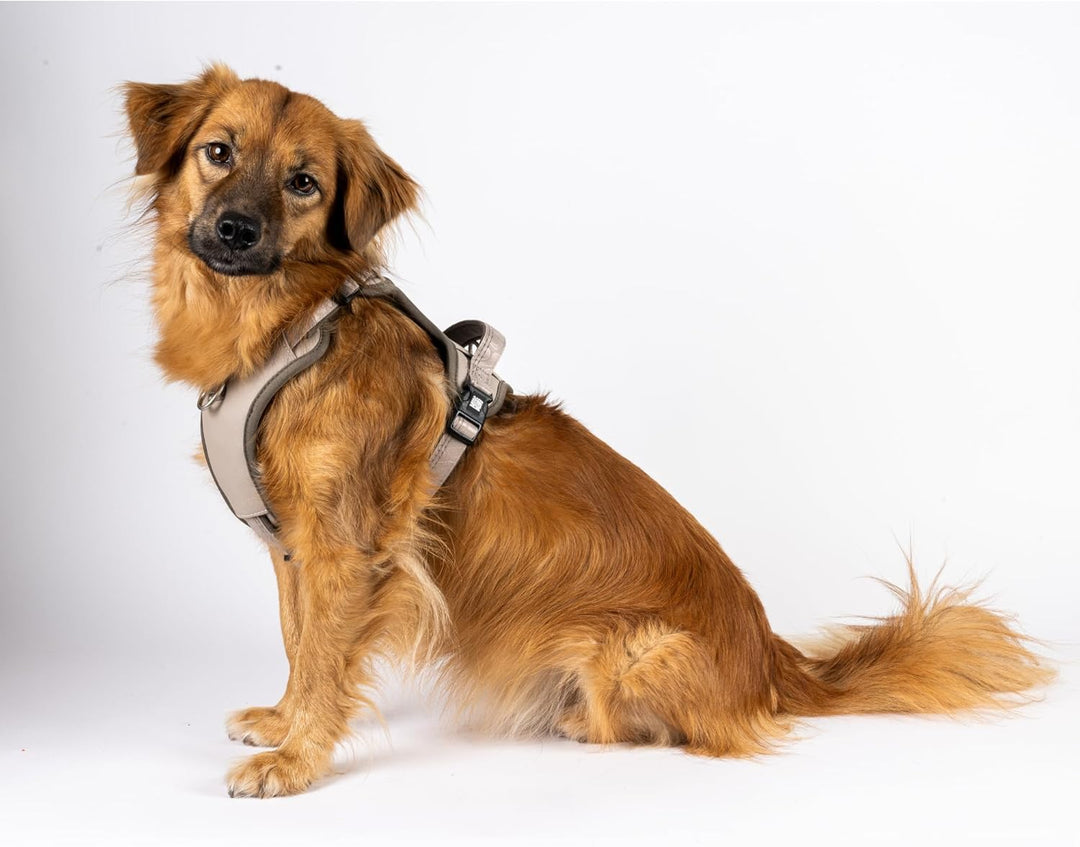 Max & Molly Sport Hundegeschirr Sehr Grosse Hunde mit Gotcha! Smart ID Sicherheitsanhänger, Matrix 2
