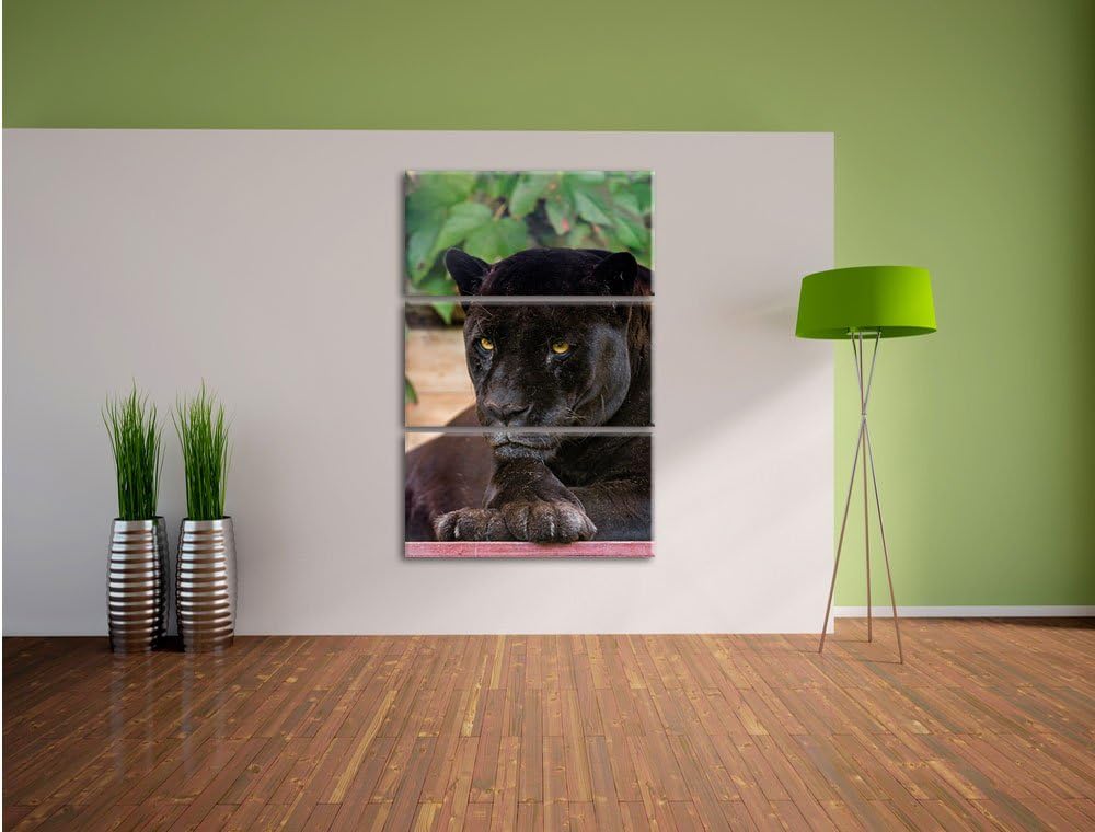 Pixxprint schöner schwarzer Panther 3-Teiler Leinwandbild 120x80 Bild auf Leinwand
