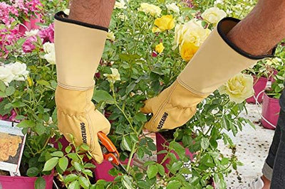 ROSTAING ROSERAIE-IT10 Gartenhandschuhe, Pro Rosen und kleine Nadelpinsel, Leder, Beige, Rosenrot, G