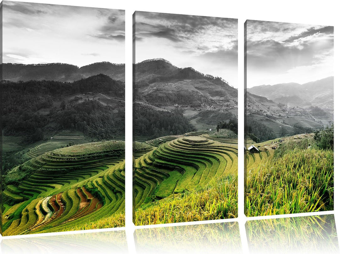 Pixxprint Reisfelder in Vietnam als Leinwandbild/Grösse: 3 Teilig (120x80) cm/Wandbild/Kunstdruck/fe