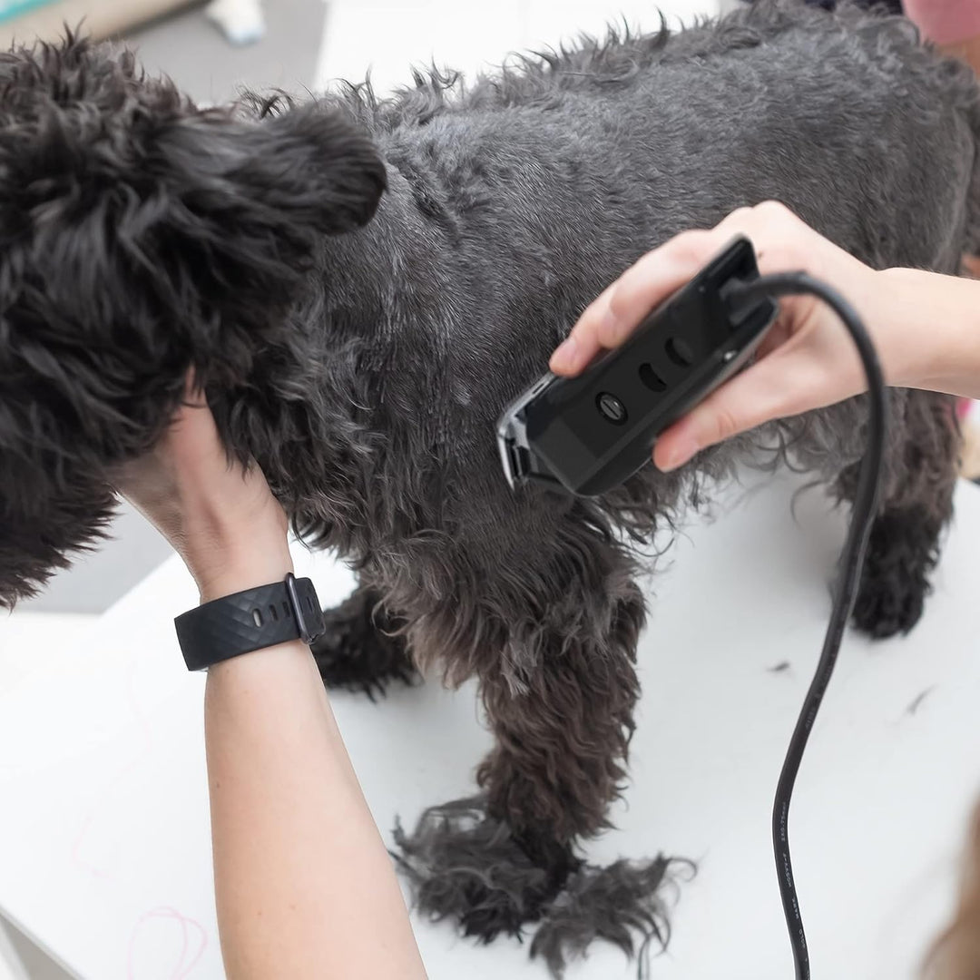 Wahl Hundeschermaschine, Multi-Cut-Fellpflegeset für Hunde und Katzen, kompletter Haustiermantel, ge