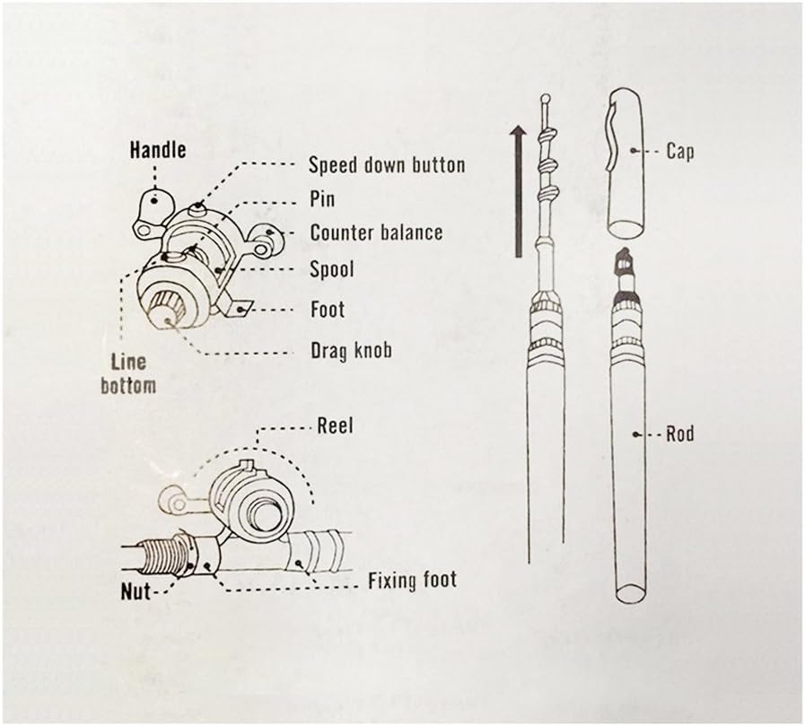 Lixada Mini Angel Reel Combo Kit, Pen Angelrute + Fishing Wheel + Angelschnur + Weiche Köder + Hooks