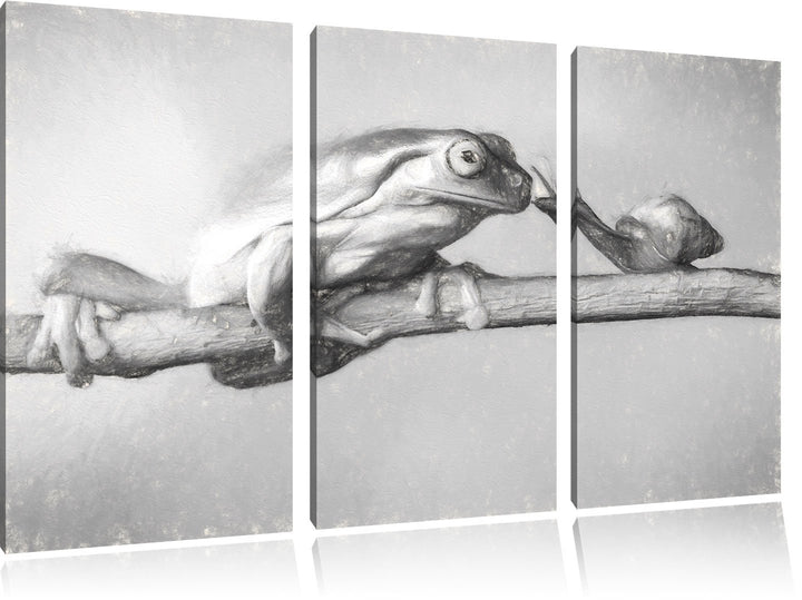 Pixxprint Frosch und Schnecke Kunst als Leinwandbild 3 teilig/Grösse: 3 Teilig (120x80) / Wandbild/K