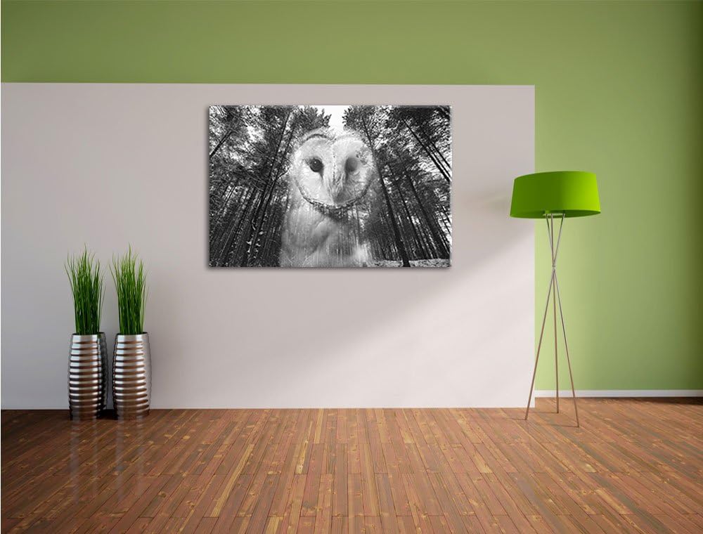 Pixxprint Portrait Einer Eule als Leinwandbild/Grösse: 100x70 / Wandbild/Kunstdruck/fertig bespannt,