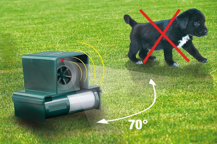 Royal Gardineer Hunde Schrecker: Hunde-, Katzen- und Vogelschreck TS-712 - das Original (Katzen Schr