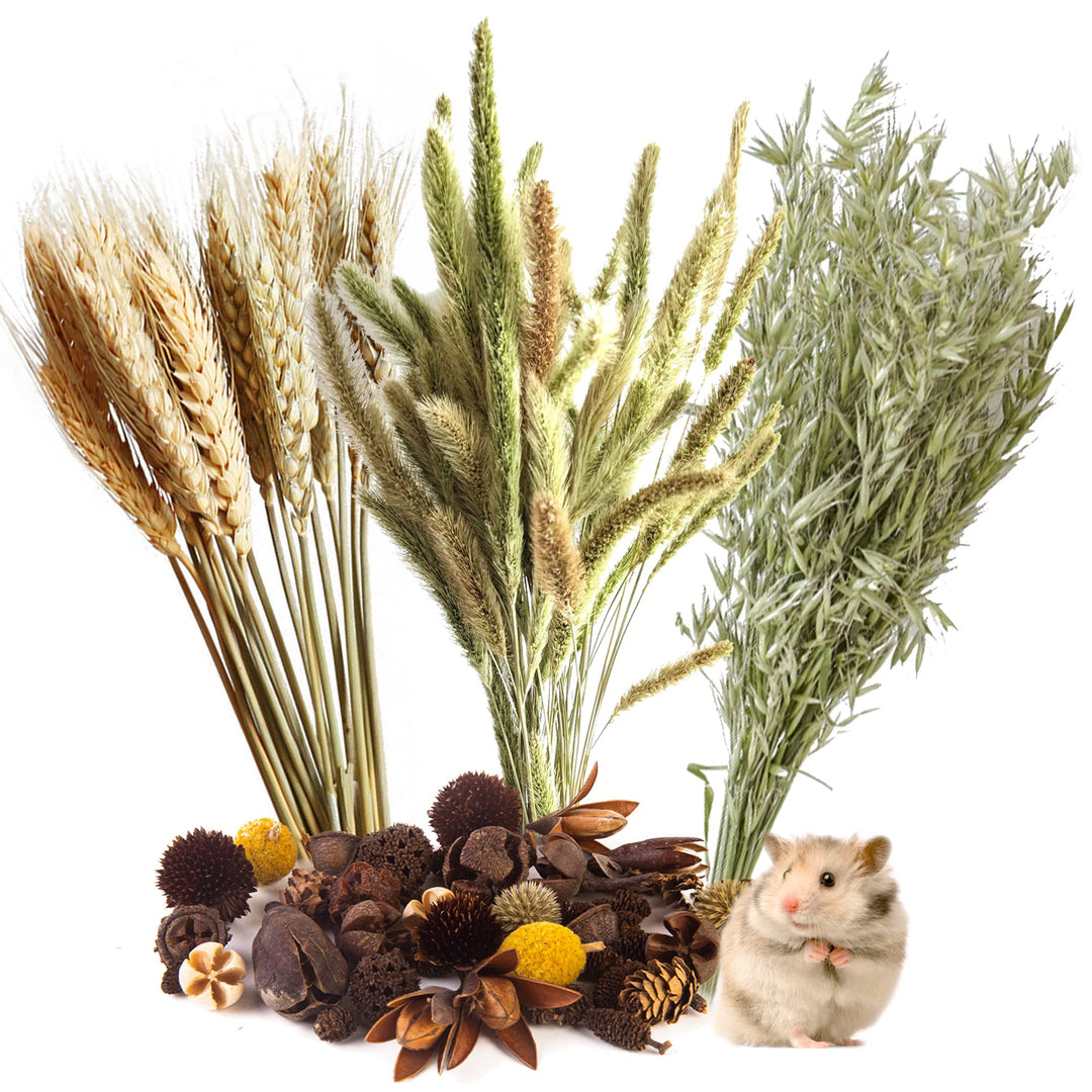 Natürliche Weizenblume und Kräuter-Bettwäsche Mate Habitat Dekor, fügt Spass Hamster Zubehör für Ham