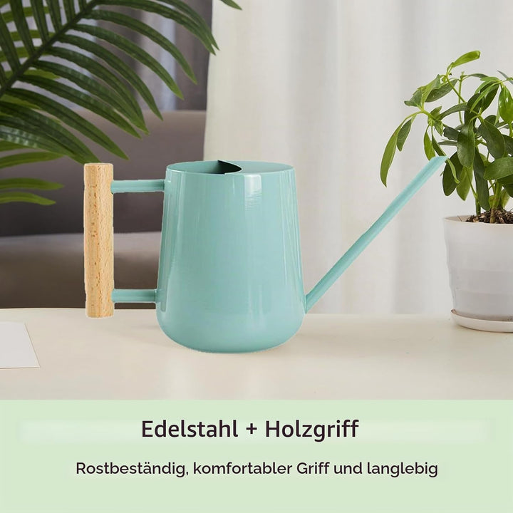 1L Giesskanne Zimmerpflanzen, (1000 ml) 35 Oz Metall Edelstahl Klein Giesskanne mit Langem Auslauf u