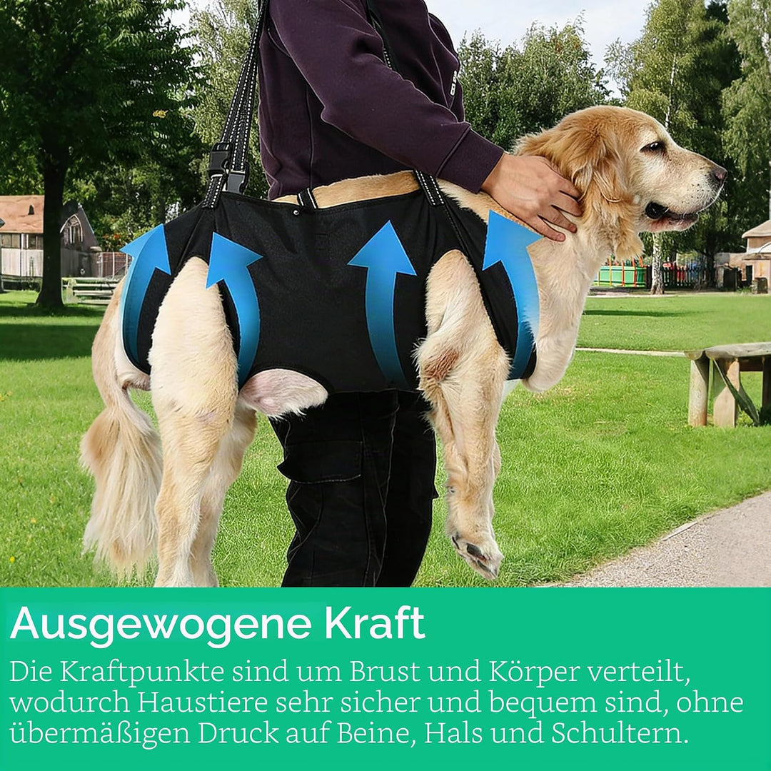 Tragehilfe Hund Gross, Hunde Tragehilfe, Hundeliftgeschirr, Hundehebegeschirr,Haustierunterstützung