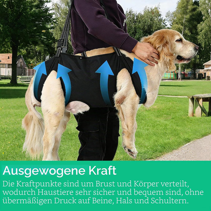 Tragehilfe Hund Gross, Hunde Tragehilfe, Hundeliftgeschirr, Hundehebegeschirr,Haustierunterstützung