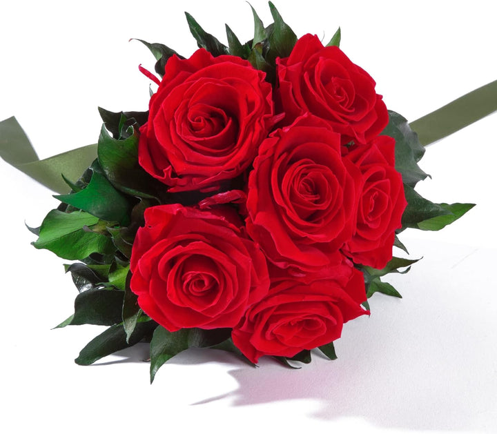 ROSEMARIE SCHULZ Heidelberg Rosenstrauss präpariert 6 Infinity Rosen rot
