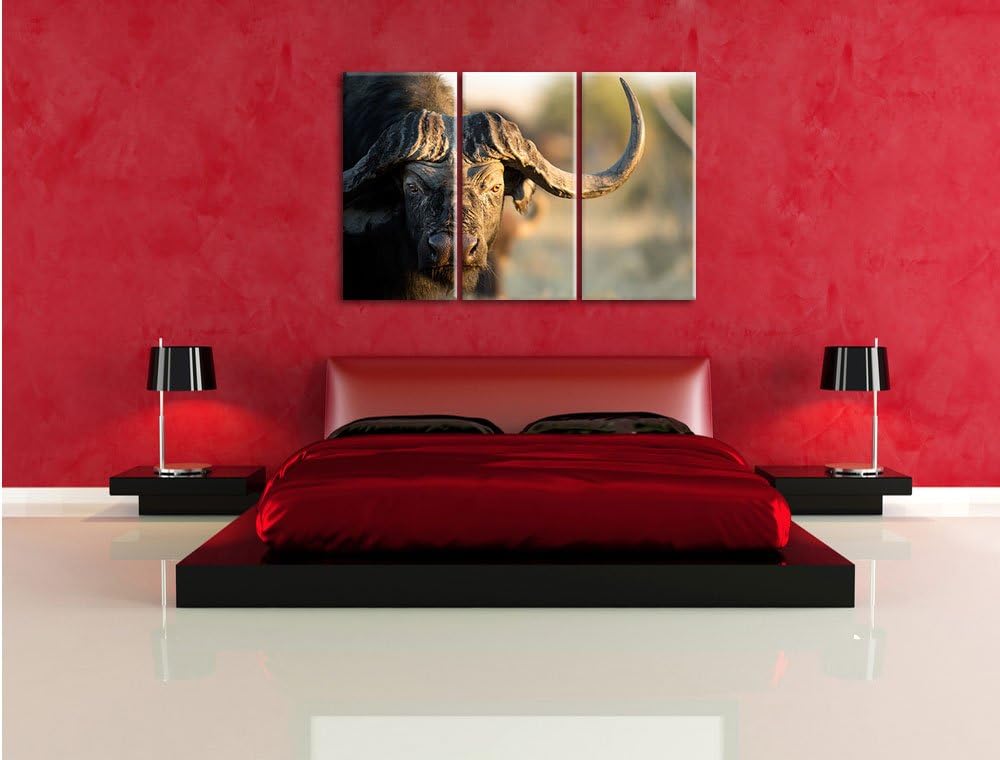 Pixxprint Kaffernbüffel mit Hörnern / 3-Teilig/Gesamtmass 120cm Leinwandbild bespannt auf Holzrahmen