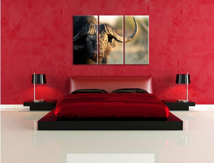 Pixxprint Kaffernbüffel mit Hörnern / 3-Teilig/Gesamtmass 120cm Leinwandbild bespannt auf Holzrahmen