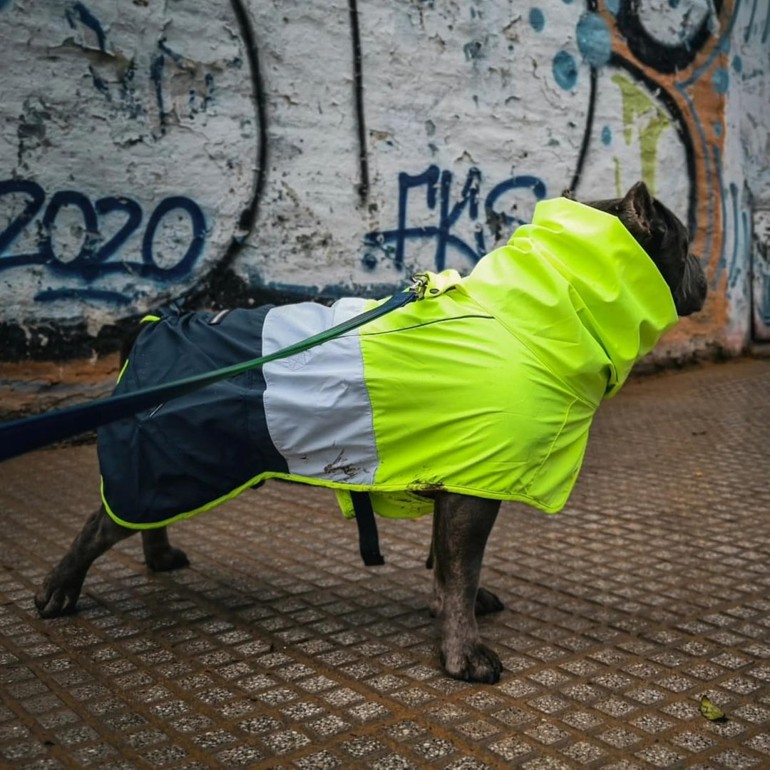 Spark Paws Breatheshield™ Hunderegenmantel - Allwetterschutz und Komfort - Atmungsaktiver Komfort, A