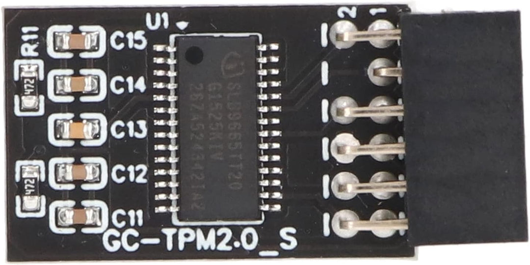 TPM 2.0 Modul LPC SPI 12 Pin Remote Card Encryption Security Board, Zubehör Kompatibel mit Plattform