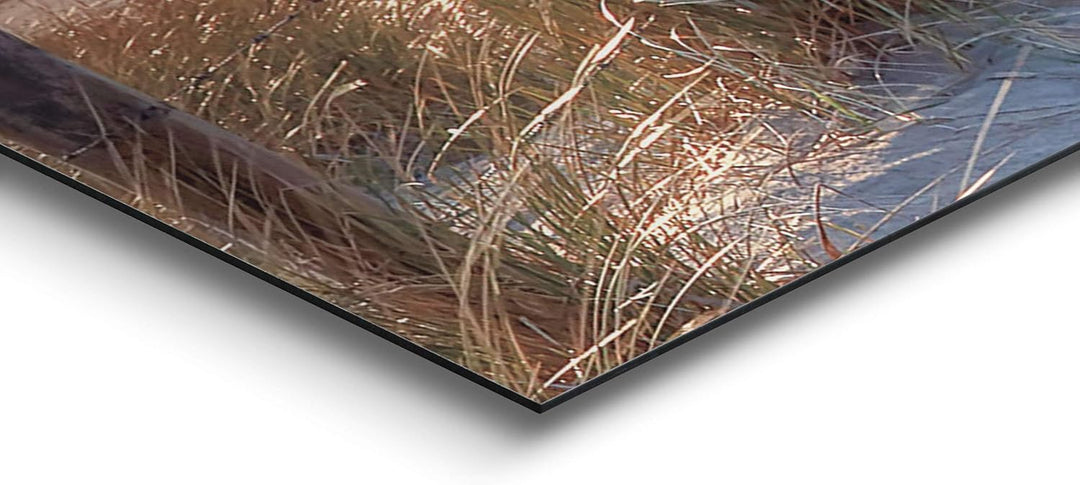 REINDERS Dünenweg Wandbild - MDF - 156 x 52 cm - Khaki