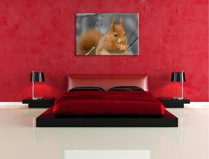 freches Eichhörnchen beim Fressen schwarz/weiss auf Leinwand, XXL riesige Bilder fertig gerahmt mit