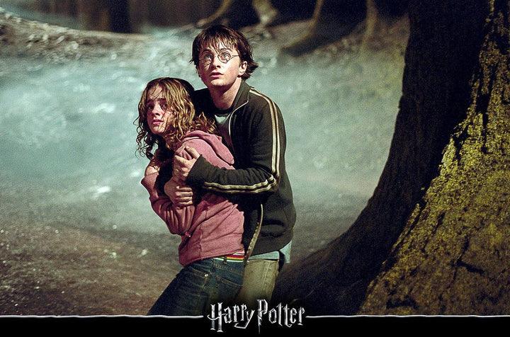 Harry Potter: The Complete Collection - Jubiläums-Edition [Blu-ray]