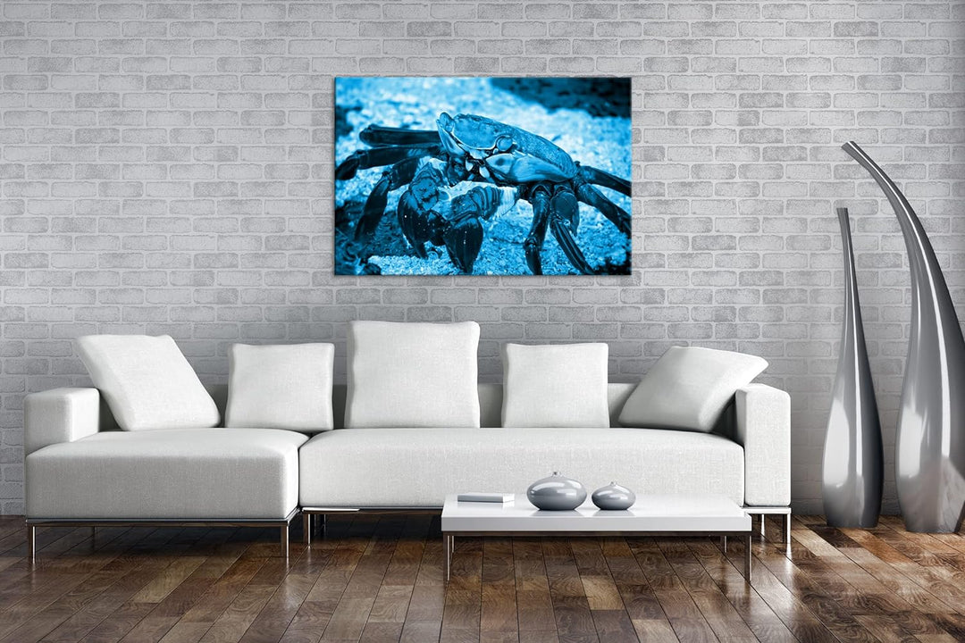deyoli bunte Krabbe am Strand Format 60x40 Effekt: Monocrome Blau als Leinwandbild, Motiv fertig ger