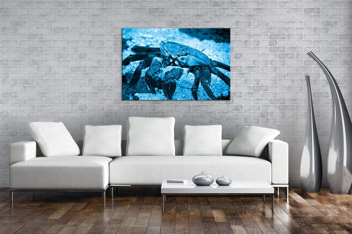deyoli bunte Krabbe am Strand Format 60x40 Effekt: Monocrome Blau als Leinwandbild, Motiv fertig ger