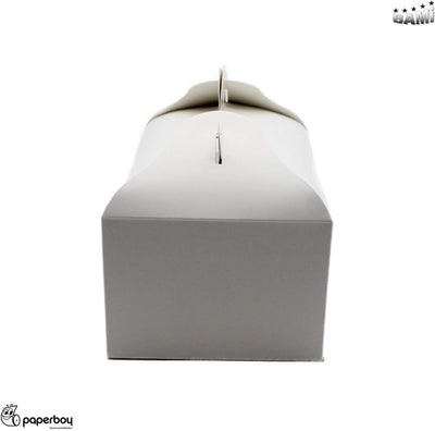 BAMI 25 Stück Konditorei Box Gebäckkarton Kuchenbox, M- 200x130x90mm Tortenbox, aus Pappe mit Griff,