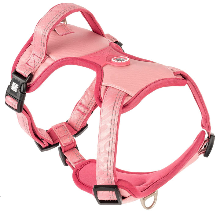 Max &amp; Molly Sport Hundegeschirr Kleine Hunde mit Gotcha! Smart ID Sicherheitsanhänger, Matrix 2.0 Ro