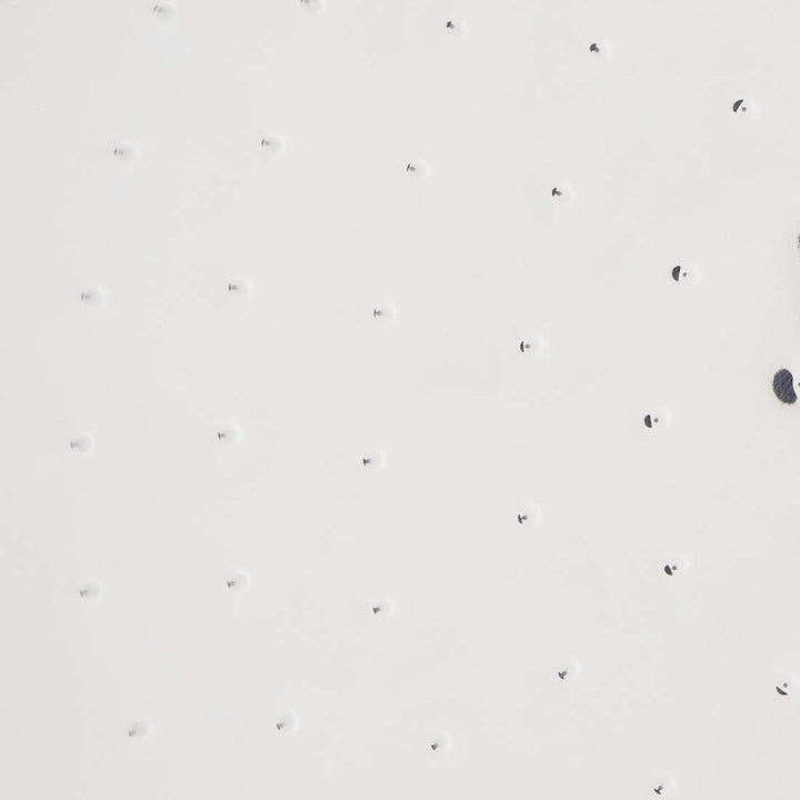 Garcima 13-inch Stainless Steel Paella Pan, 32cm by La Paella, 32cm